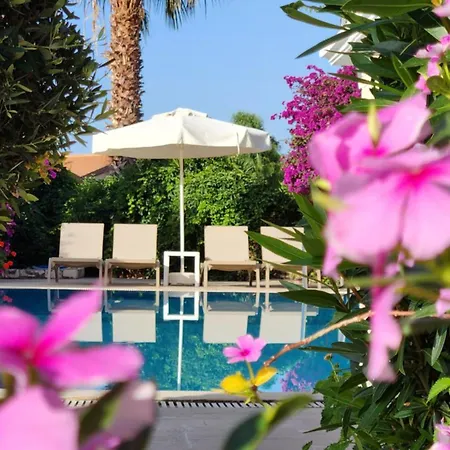 Hotell Amphora