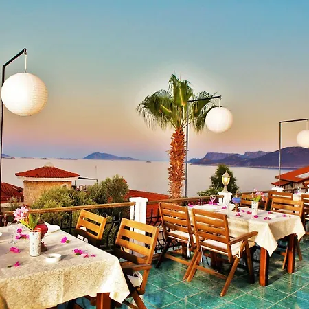 Amphora Hotell 5*